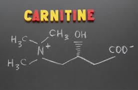 En este momento estás viendo ¿Qué es la carnitina? ¿Qué dosis es aceptable por día?